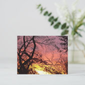 裸木カラフルの間の夕日 ポストカード (スタンド正面)