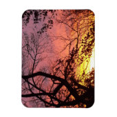 裸木カラフルの間の夕日 マグネット (縦)