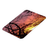 裸木カラフルの間の夕日 マグネット (左側)