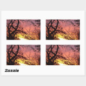 裸木カラフルの間の夕日 長方形シール (シート)