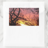 裸木カラフルの間の夕日 長方形シール (バッグ)