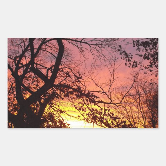 裸木カラフルの間の夕日 長方形シール (正面)