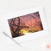 裸木カラフルの間の夕日 長方形シール (封筒)