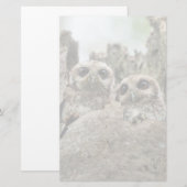 裸足のフクロウまたはキューバスクリーチフクロウ 便箋 (正面/裏面)