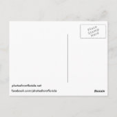 裸足ビーチ葉書 ポストカード (裏面)