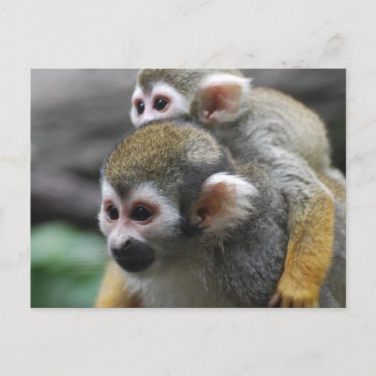 製カスタマイズ品 ポストカード (正面)