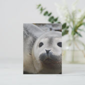 製カスタマイズ品 ポストカード (スタンド正面)