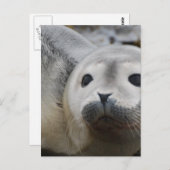 製カスタマイズ品 ポストカード (正面/裏面)