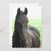 製カスタマイズ品 招待状 (正面/裏面)