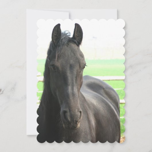 製カスタマイズ品 招待状 (正面)