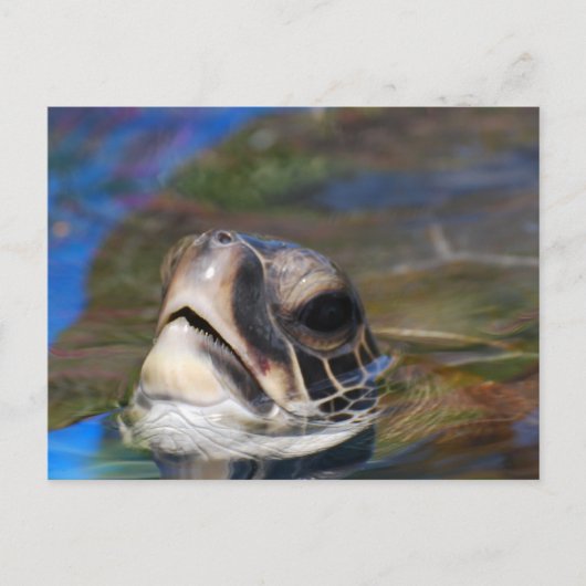 製品をカスタマイズする ポストカード (正面)