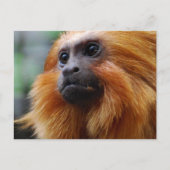 製品をカスタマイズする ポストカード (正面)