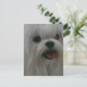 製品をカスタマイズする ポストカード (スタンド正面)