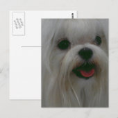 製品をカスタマイズする ポストカード (正面/裏面)