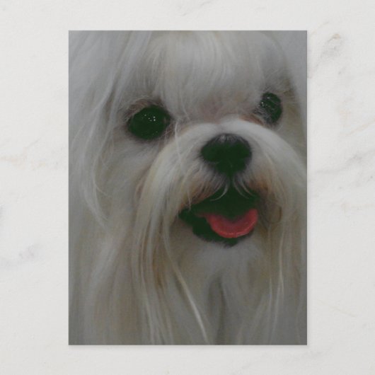 製品をカスタマイズする ポストカード (正面)