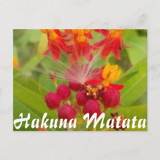 製品をカスタマイズする ポストカード (正面)