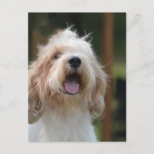 製品をカスタマイズする ポストカード (正面)