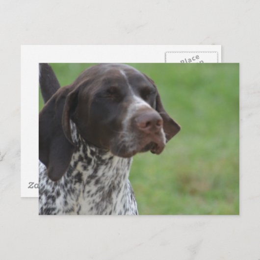 製品をカスタマイズ ポストカード (正面/裏面)