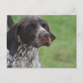 製品をカスタマイズ ポストカード (正面)