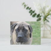 製品をカスタマイズ ポストカード (スタンド正面)