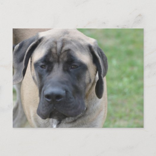 製品をカスタマイズ ポストカード (正面)