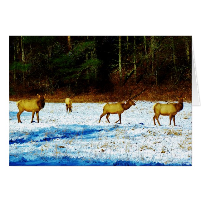 製品カスタマイズ (正面横)