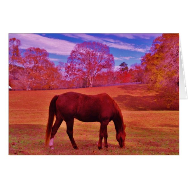 製品カスタマイズ (正面横)