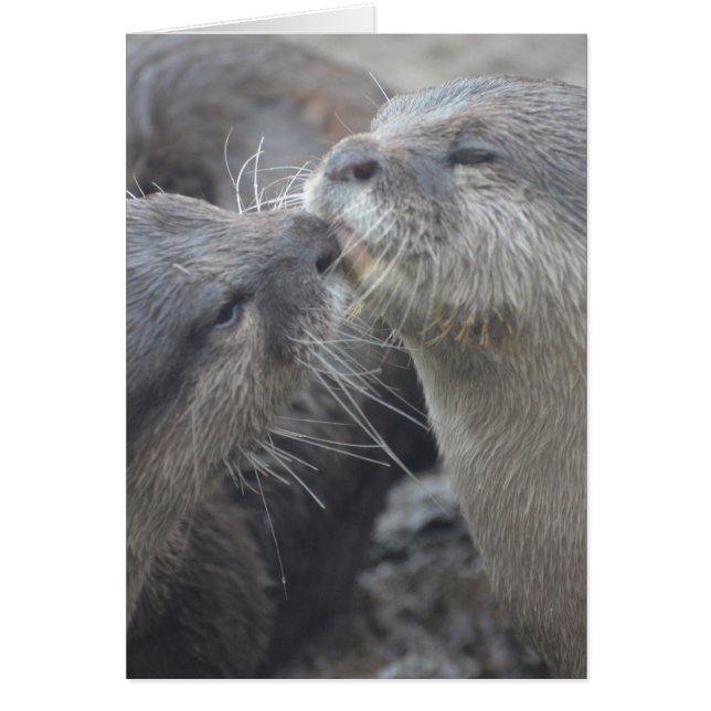 製品カスタマイズ (正面)