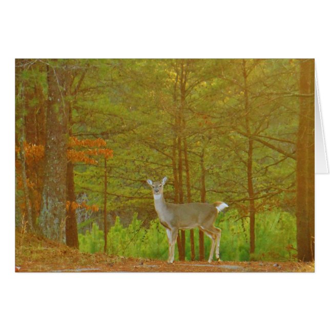 製品カスタマイズ (正面横)