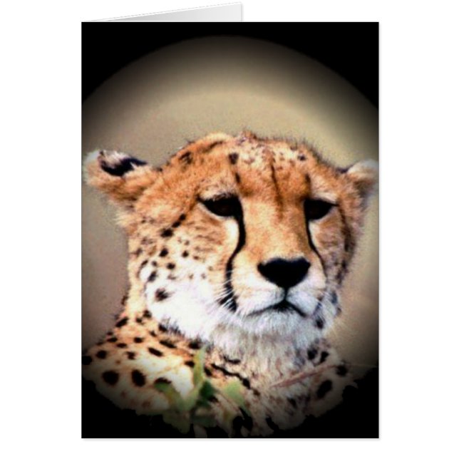 製品カスタマイズ (正面)