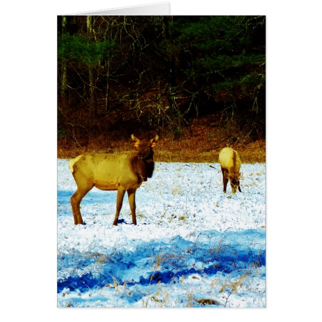 製品カスタマイズ (正面)