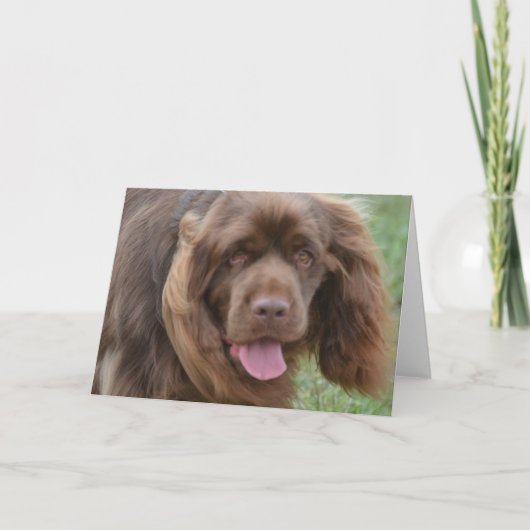 製品カスタマイズ カード (正面)