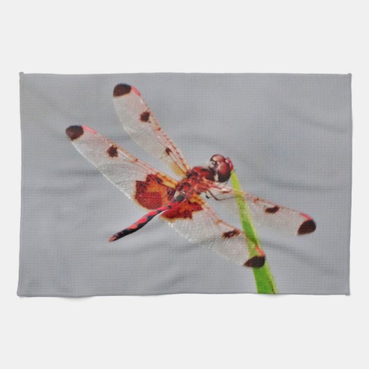 製品カスタマイズ キッチンタオル (横)