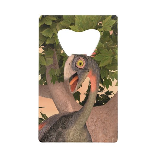 製品カスタマイズ クレジットカード栓抜き (正面)