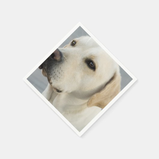 製品カスタマイズ スタンダードカクテルナプキン (角)