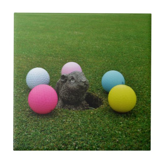 製品カスタマイズ タイル (正面)