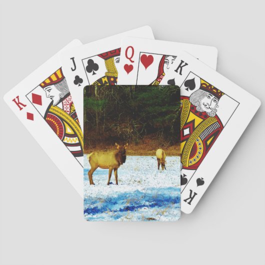 製品カスタマイズ トランプ (裏面)