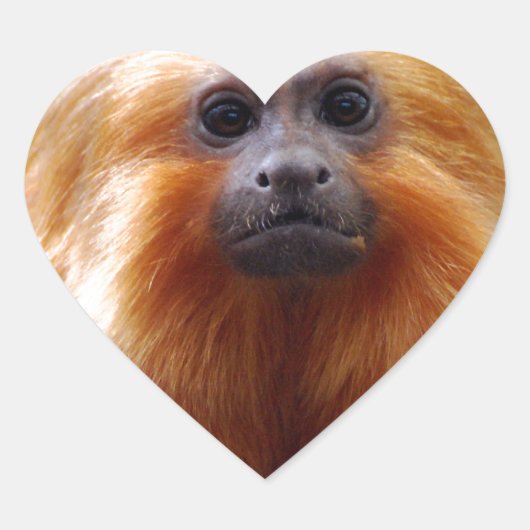 製品カスタマイズ ハートシール (正面)