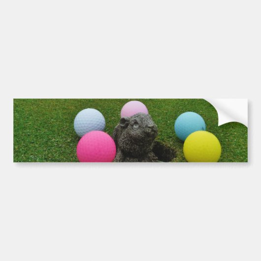 製品カスタマイズ バンパーステッカー (正面)