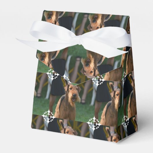 製品カスタマイズ フェイバーボックス (正面サイド)