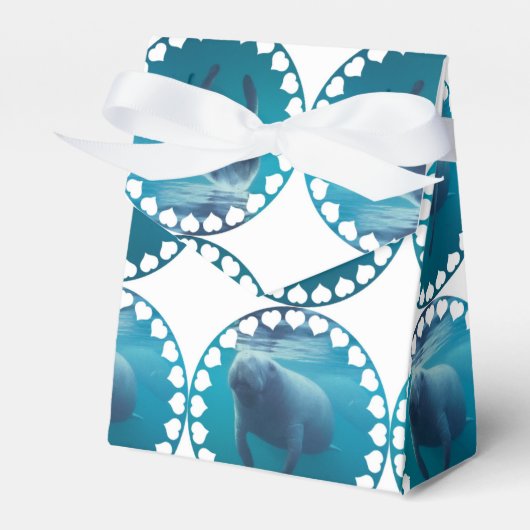 製品カスタマイズ フェイバーボックス (正面サイド)