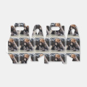 製品カスタマイズ フェイバーボックス (折り畳みなし)