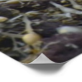 製品カスタマイズ ポスター (角)