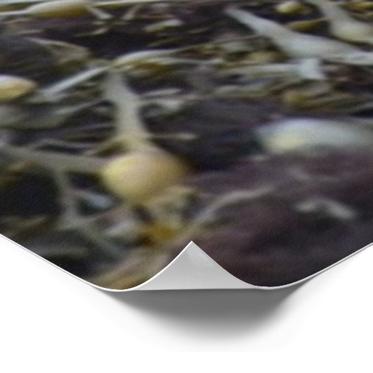 製品カスタマイズ ポスター (角)