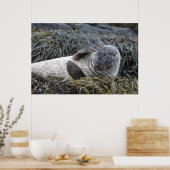 製品カスタマイズ ポスター (キッチン)