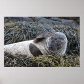 製品カスタマイズ ポスター (正面)