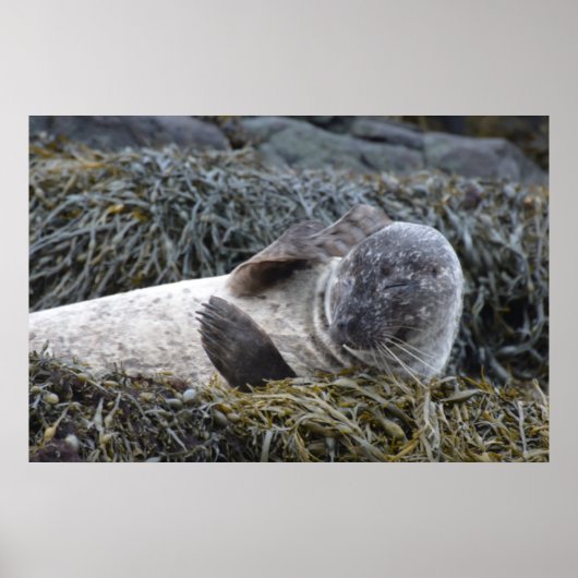 製品カスタマイズ ポスター (正面)