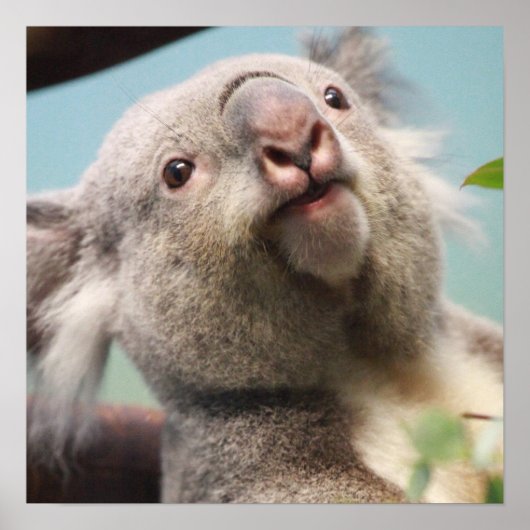 製品カスタマイズ ポスター (正面)