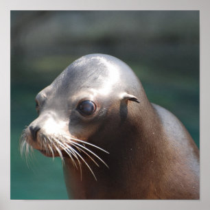 製品カスタマイズ ポスター