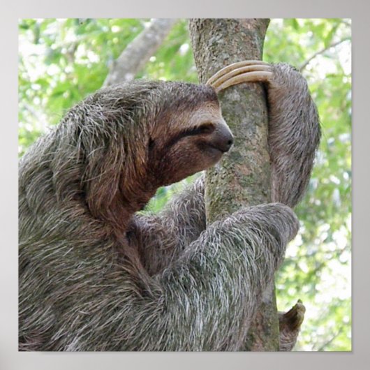 製品カスタマイズ ポスター (正面)